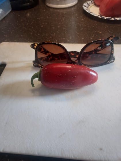 Jalapeño M Pepper Seeds Popular Heirloom with Flavorful Heat