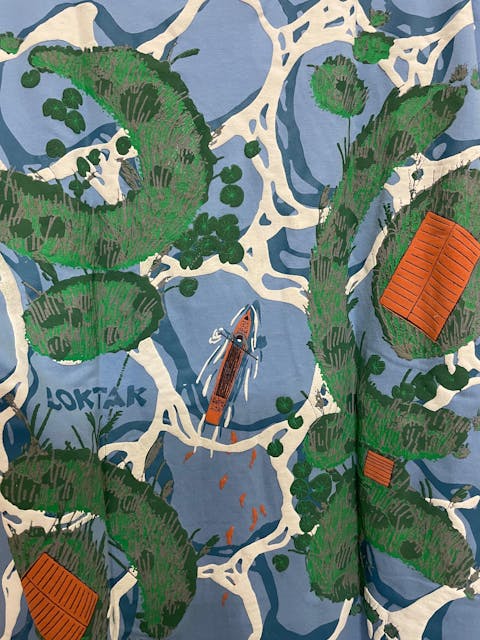 Loktak Lake Unisex Oversized Tshirt