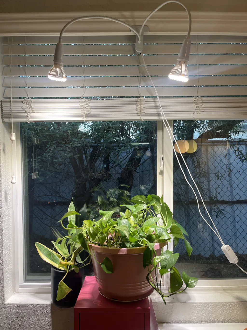 fayleer Plantenlamp LED met Optische Lens Volledig Spectrum Groeilamp met 6/12/18H Timer Plantlamp 4000K Kweeklamp Plant Lamp Led Grow Light Plantengroeilampen (Warm wit met clip