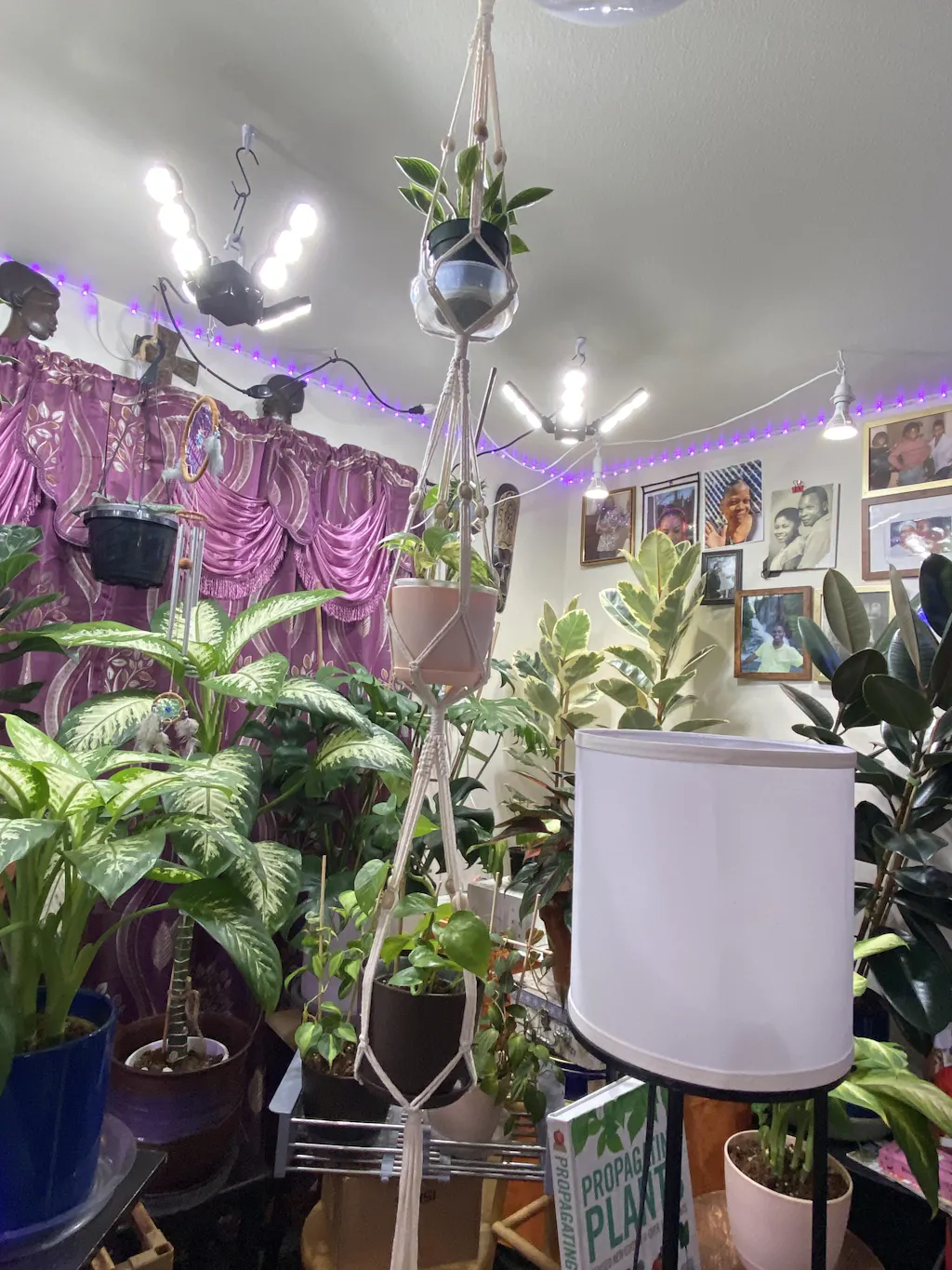60W LED Grow Light (Folding Wings & With Hook) (EU ONLY) (sku:  01-03-003-026002) | SANSI Lighting | Reviews on Judge.me