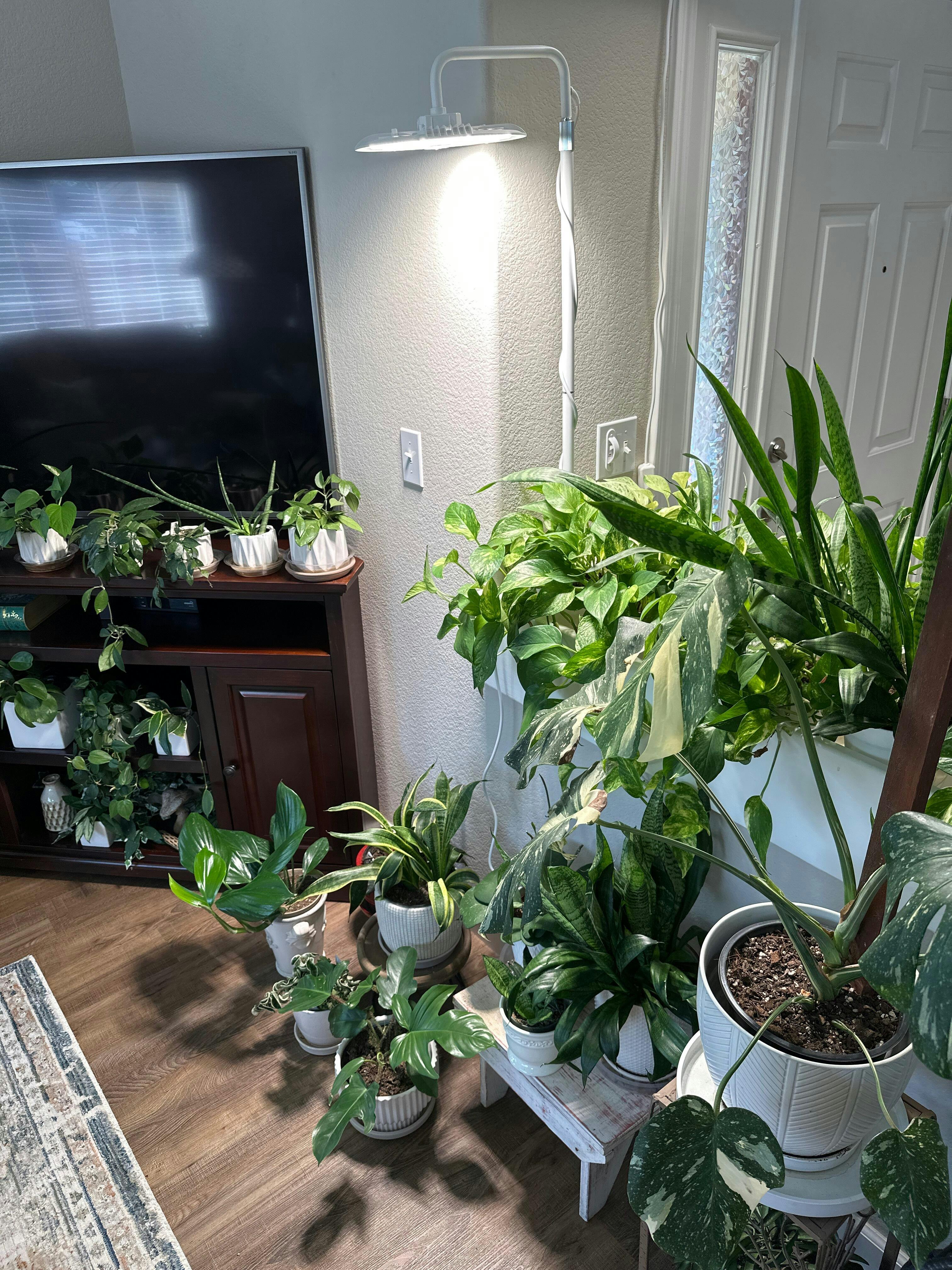 SANSI Tall Standing Grow Light with Remote Control – SANSI Lighting