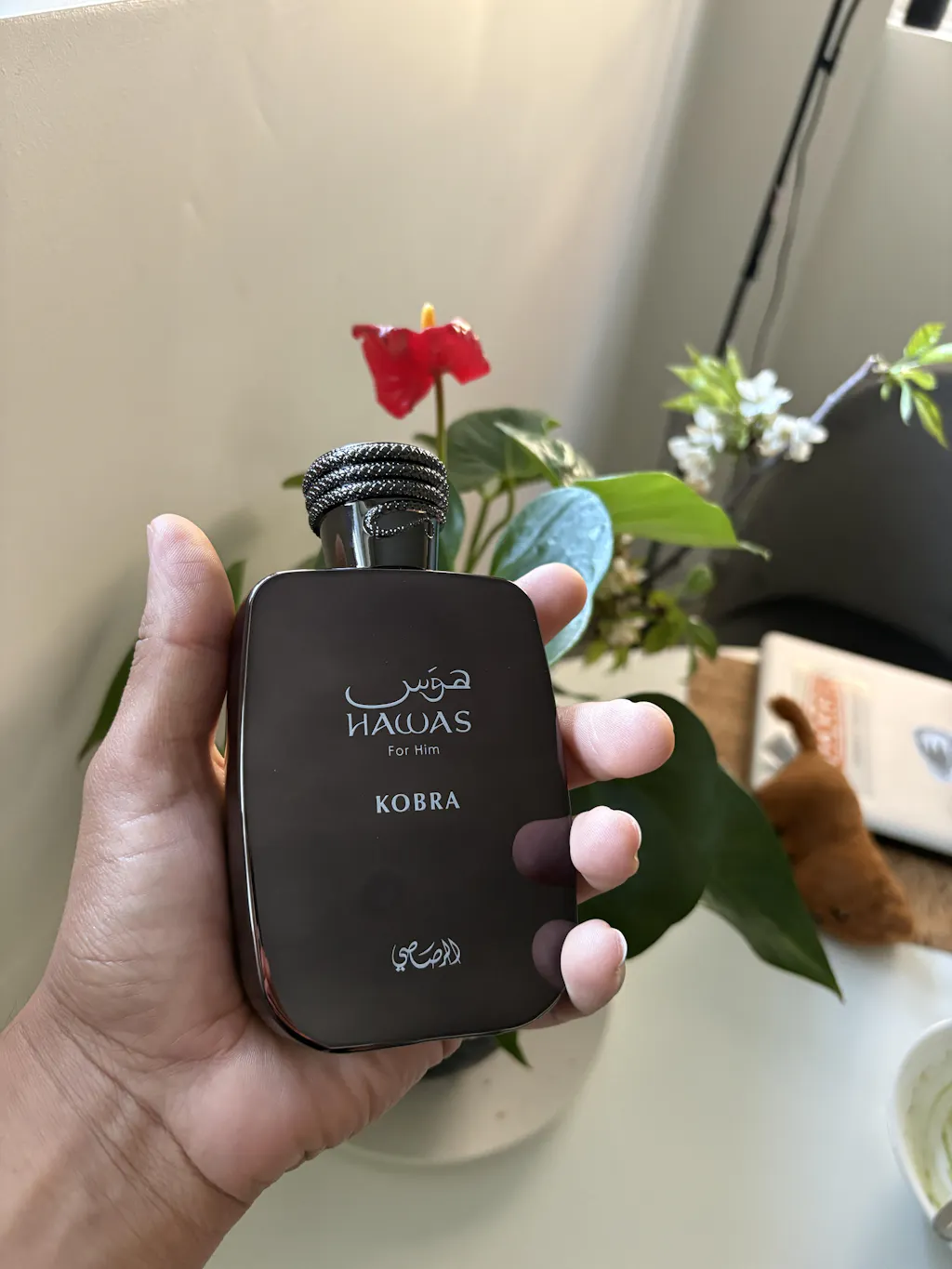 Hawas Kobra - 100ml - EDP - by Rasasi – Authentic Arabian