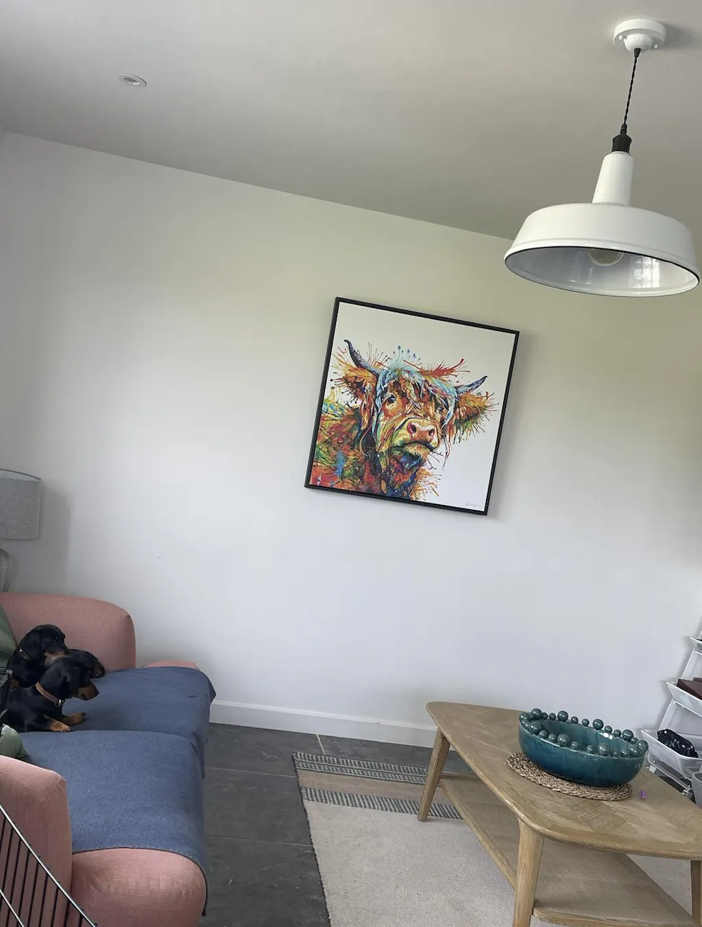 Barney the Cockapoo Framed Canvas – Sarah Taylor Art