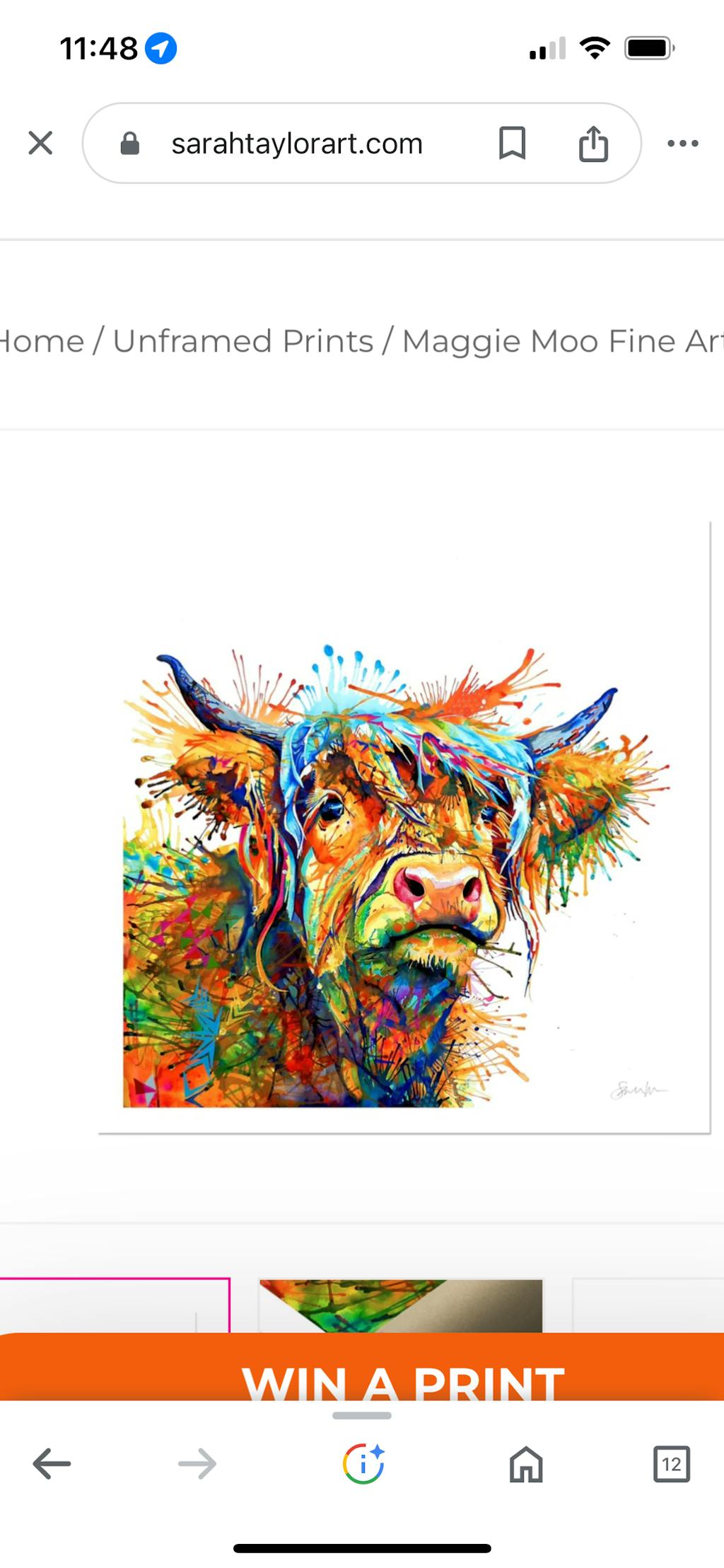 Barney the Cockapoo Artwork | Dog Painting | Pet Portrait | Animal Art