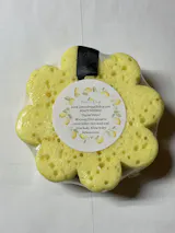 Flower Sponge Collection