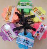 Flower Sponge Collection