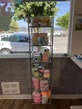 Rainbow Sponge Collection