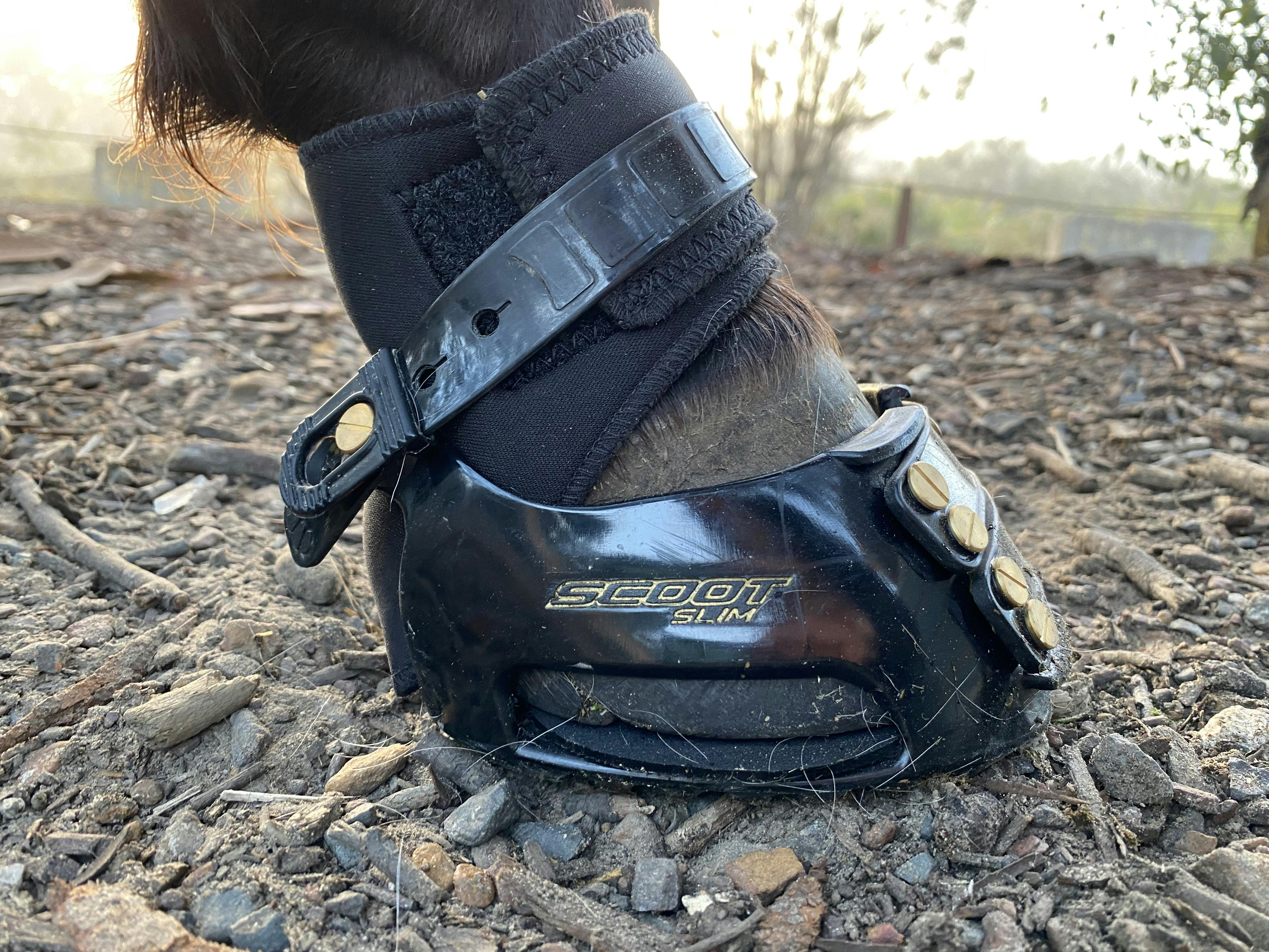 All Terrain Hoof Boots for Horses Scoot Boots Scoot Boots Retail
