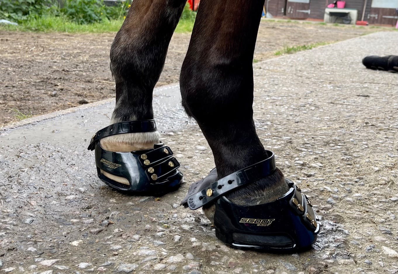 easy boots for horses easy boots for horses