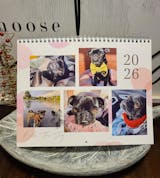 2026 Bella The Jug Wall Calendar