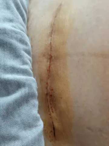 Customer review photo 8