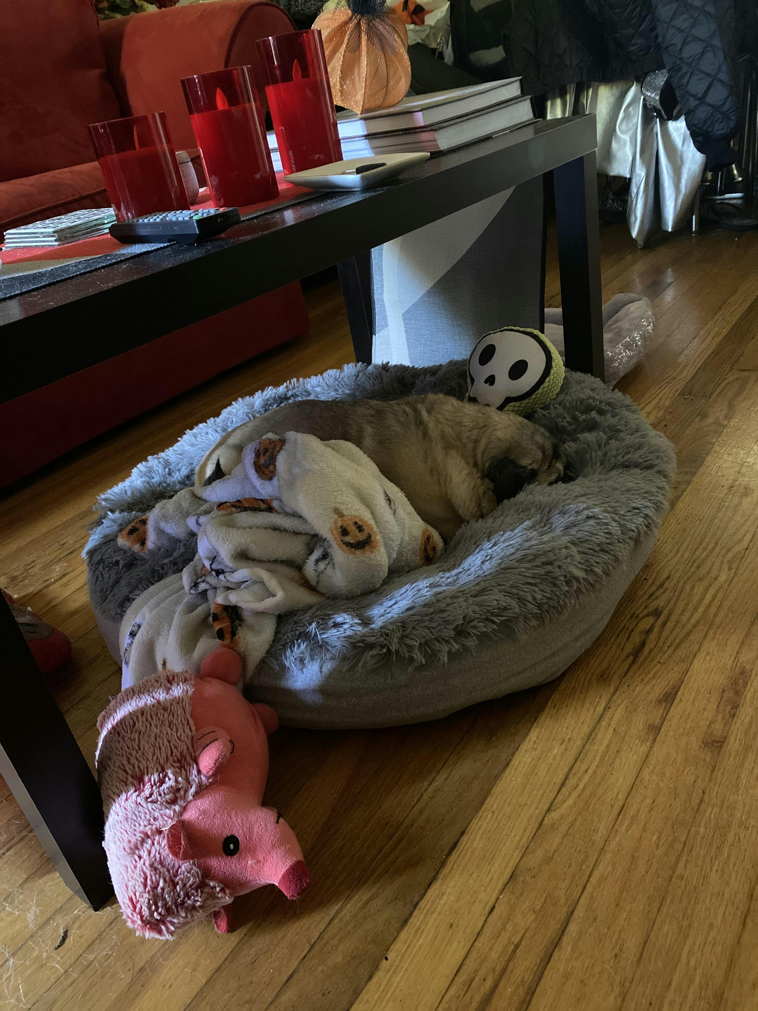 Stanley Stanley IceFlow Flip Straw Tumbler Glow Secondipity Bullseye