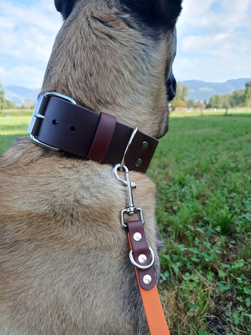 Halsband BioThane® 50mm Super Heavy