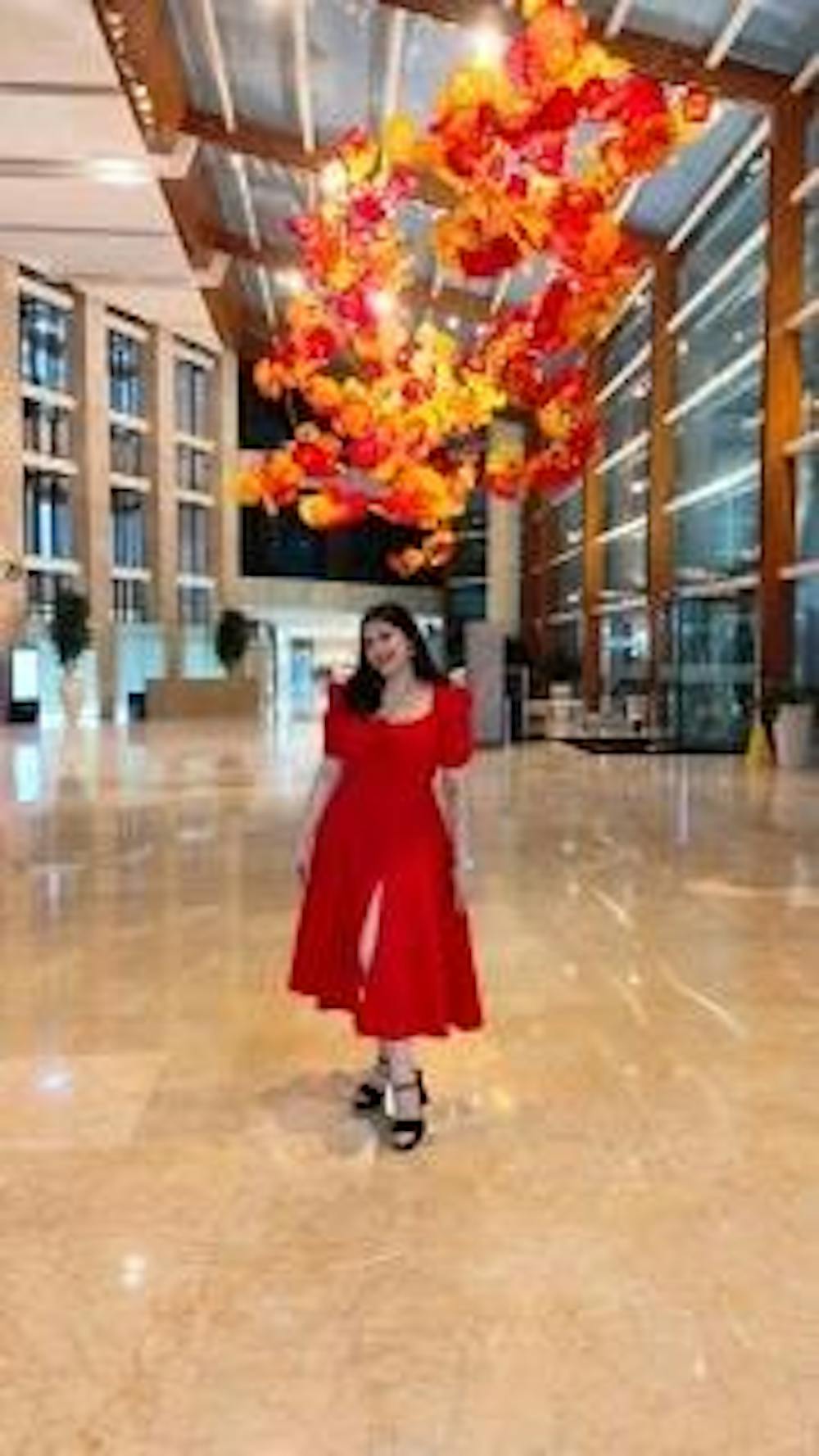 Josefina Red Rose Bustier Sundress