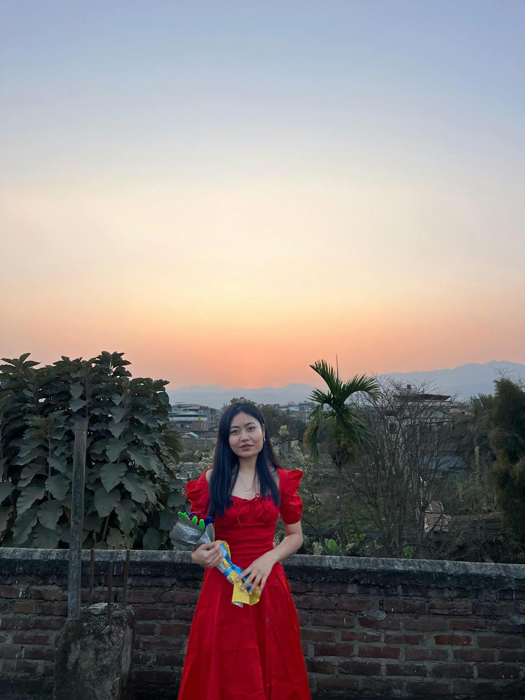 Josefina Red Rose Bustier Sundress