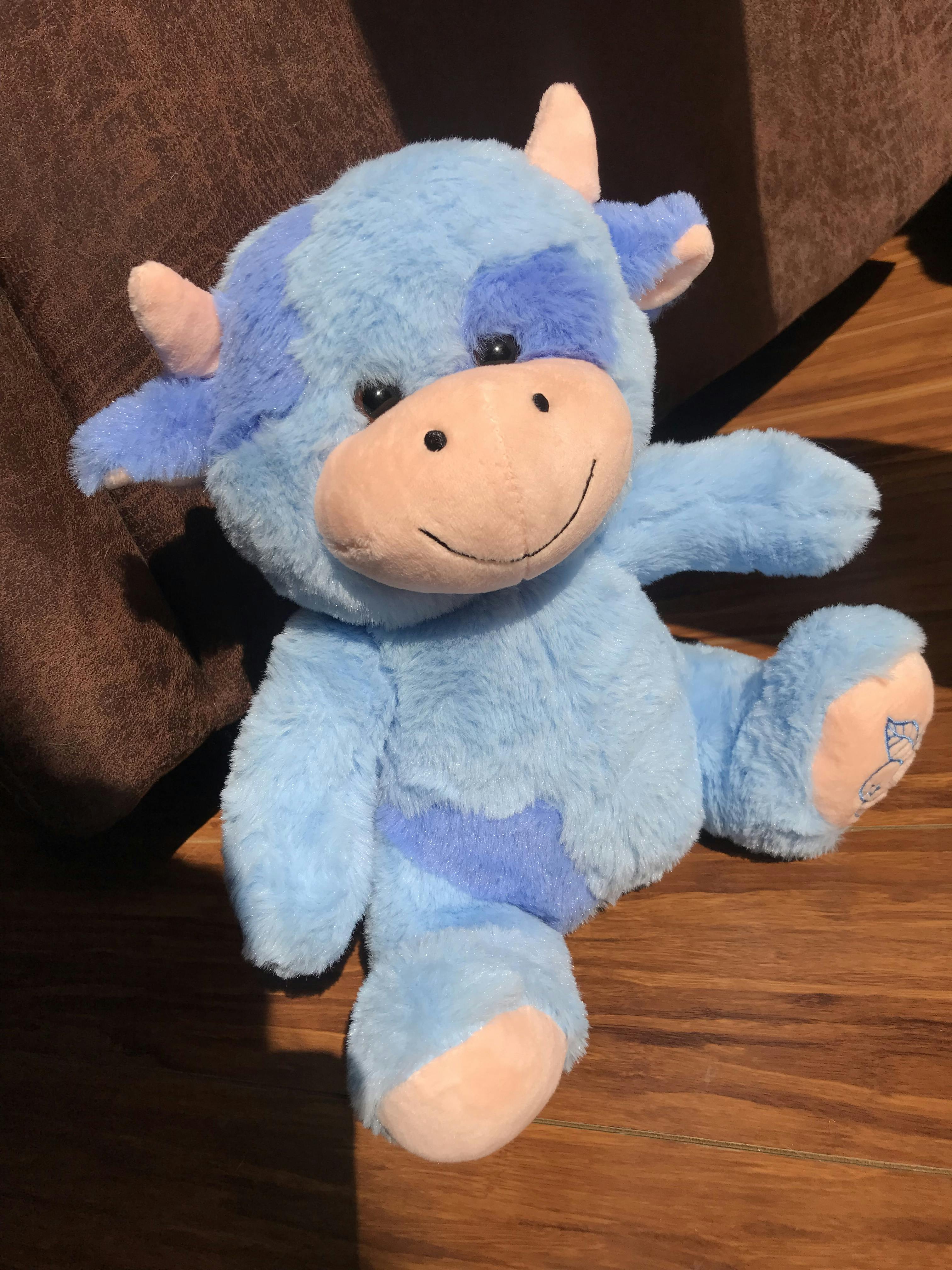 blueberry cow stuffed animal