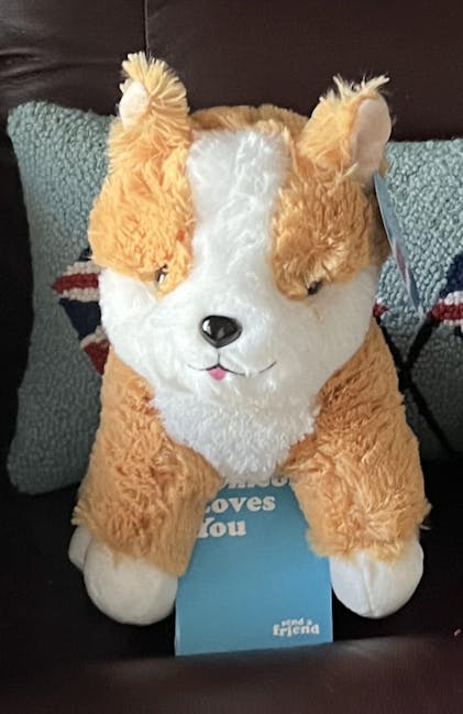 Corgi Stuffed Animal - Custom Gift