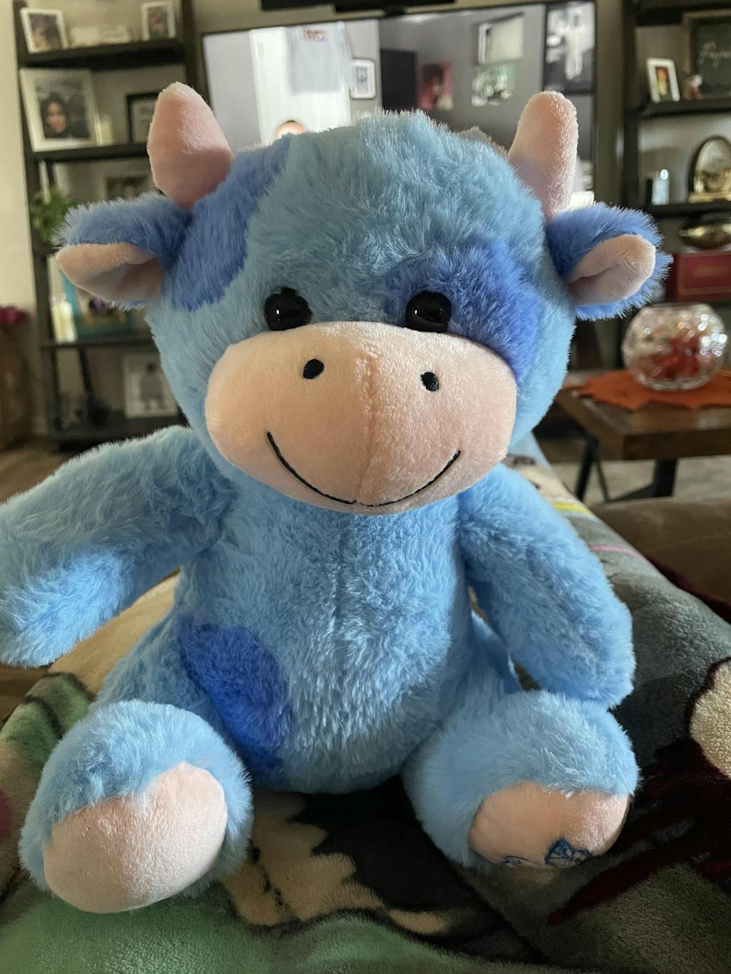 Beau the Blueberry Cow SendAFriend's Stuffed Animal Care Packages