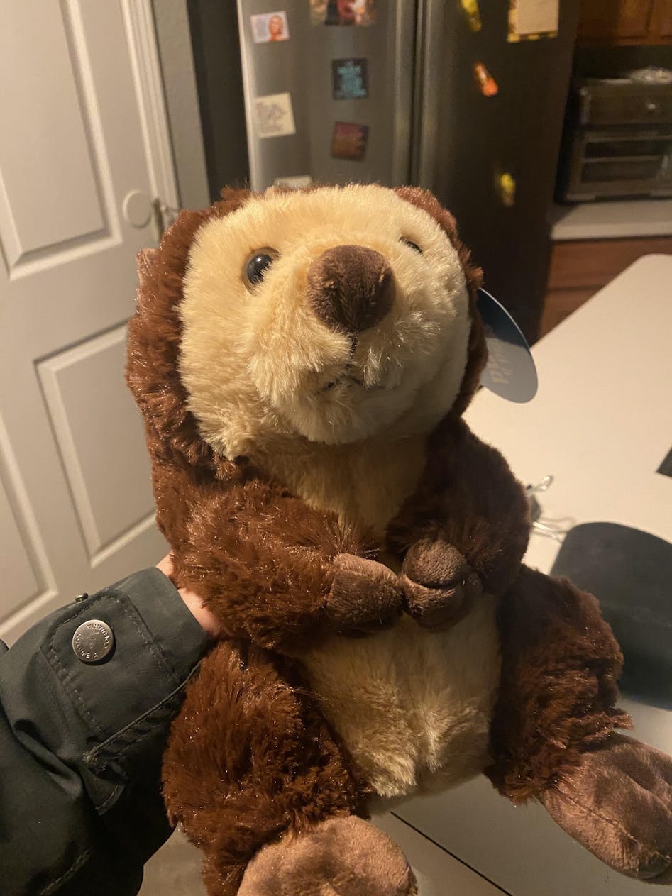 Emotional Support Otter Plush Stuffed Animal Personalized Gift Toy