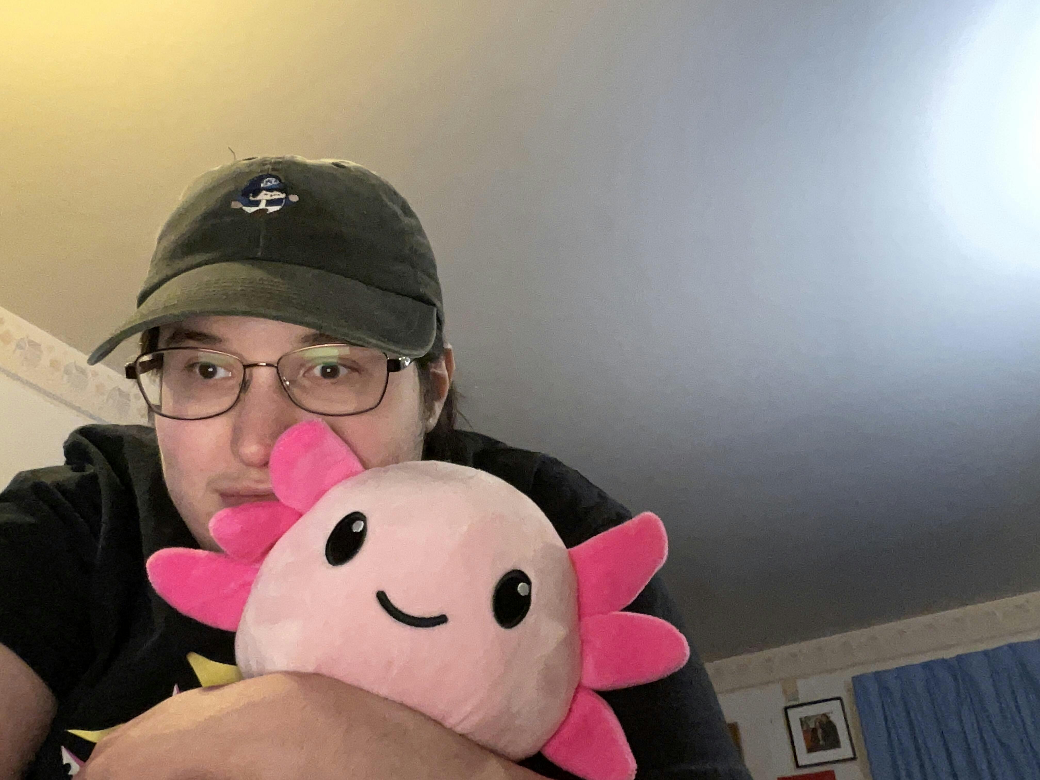 Gravity falls sales axolotl plush