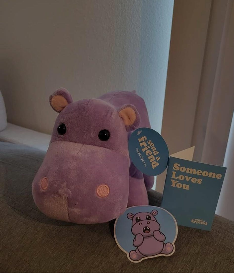 Harper the Hippo  SendAFriend's Stuffed Animal Care Packages