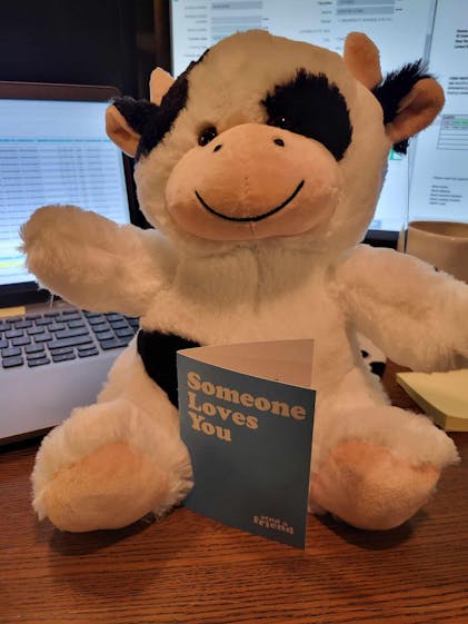 Sally the Strawberry Cow  SendAFriend's Stuffed Animal Care Packages