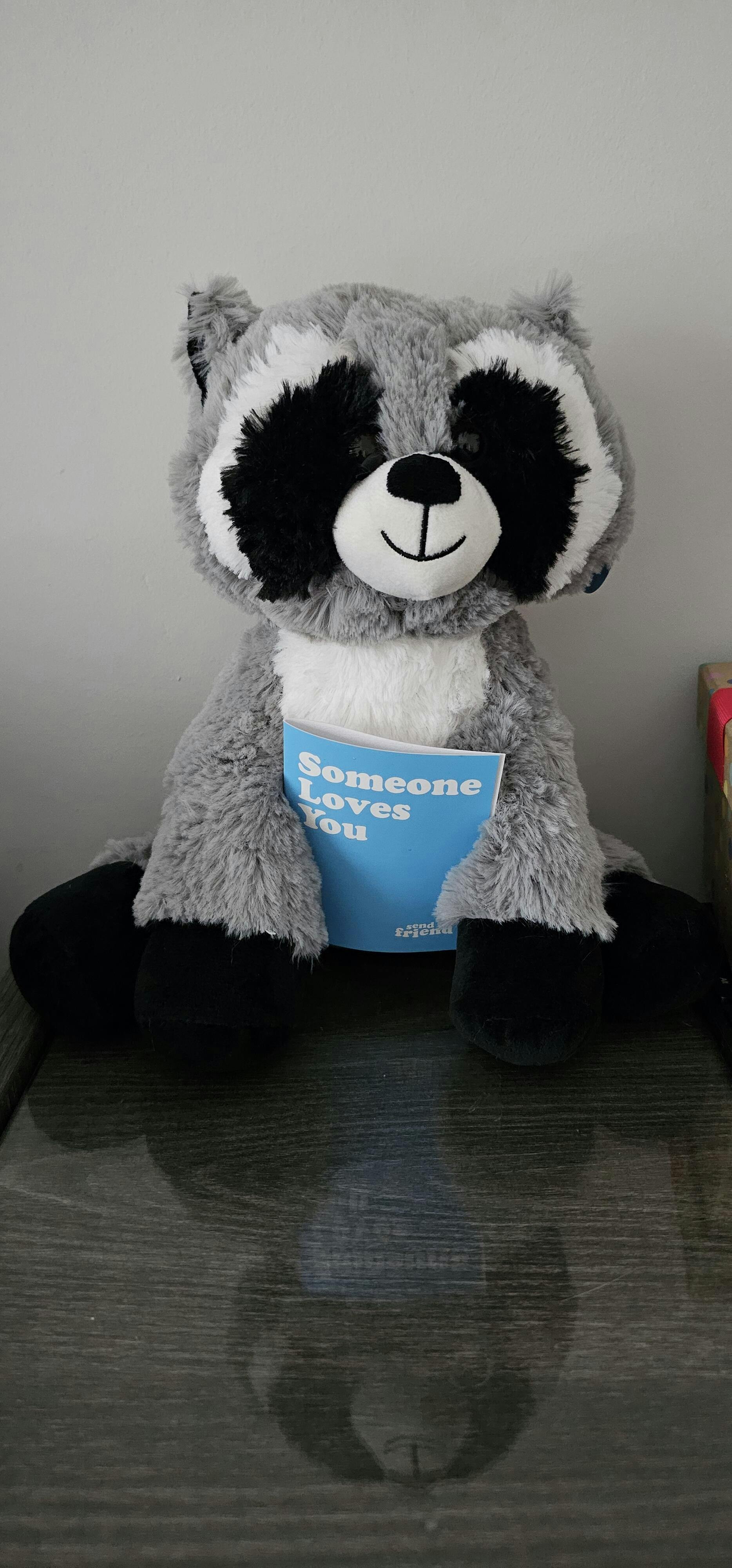 Rosie the Raccoon | SendAFriend's Stuffed Animal Care Packages