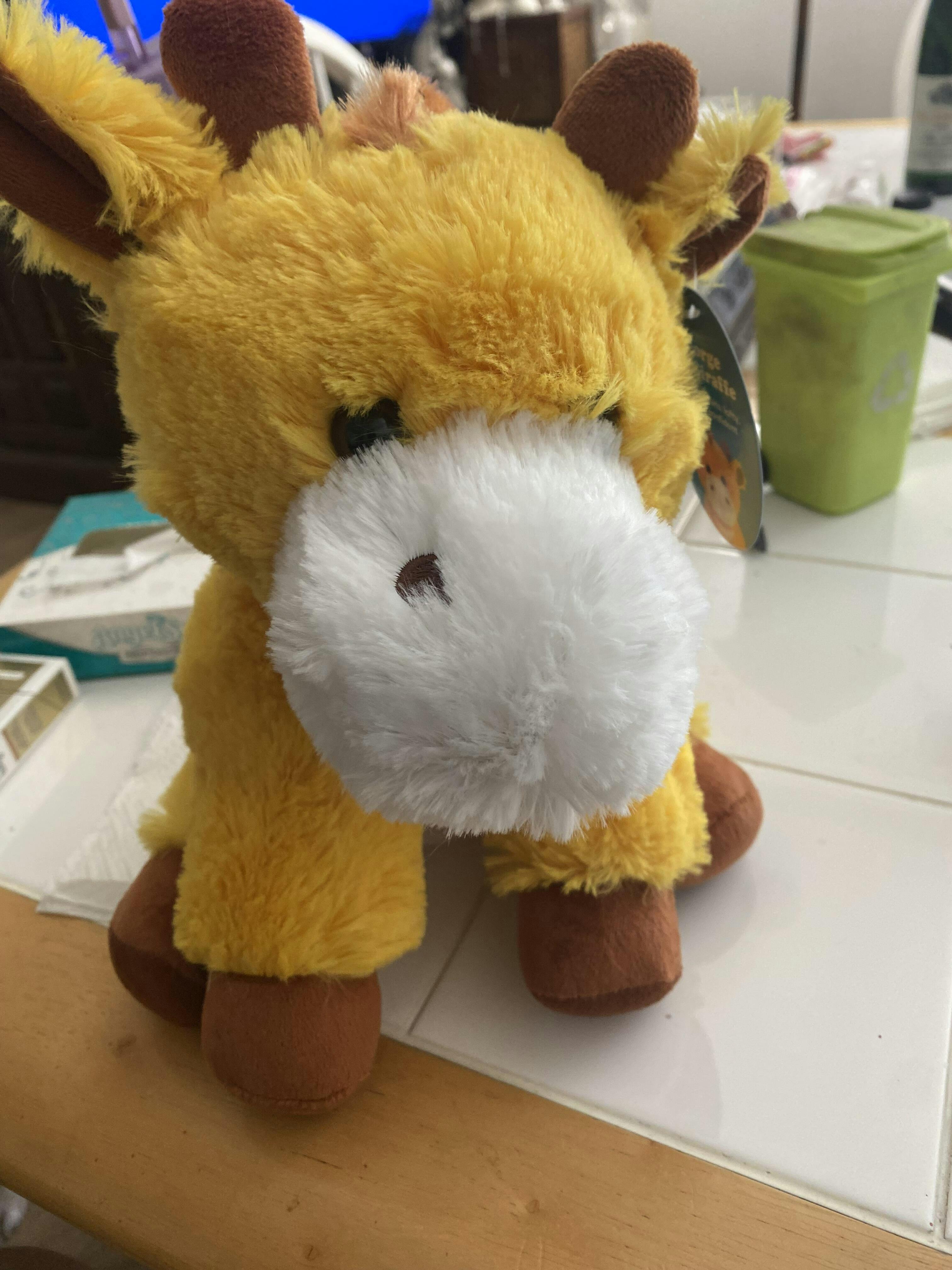 George the Giraffe Stuffed Animal Care Package | SendAFriend