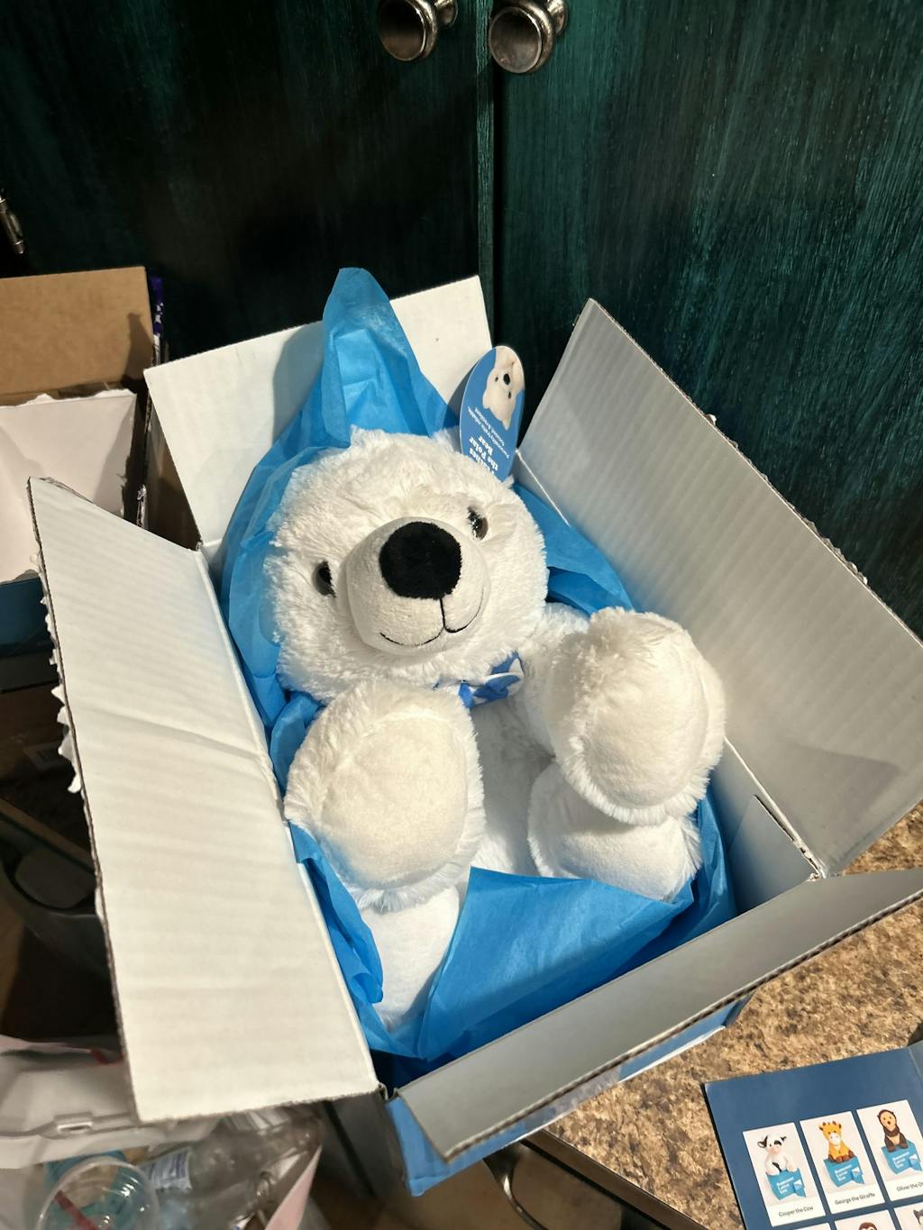 しろくまさま専用　レヨコンプ PS10 Friendship Edition しろくまさま専用 レヨコンプ PS10 Friendship Edition レヨコンプPS10