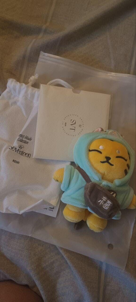 Seventeen - 'HOSHI' PLUSH KEYRING – SEOUL TERRACE
