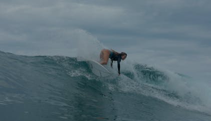 Surf Rashguard Scorpion Top Kelp | Women's Swimwear | SEPTEMBER