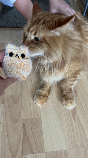 MADE TO ORDER | cute Kittys , Katzen - Crocheted Cuties