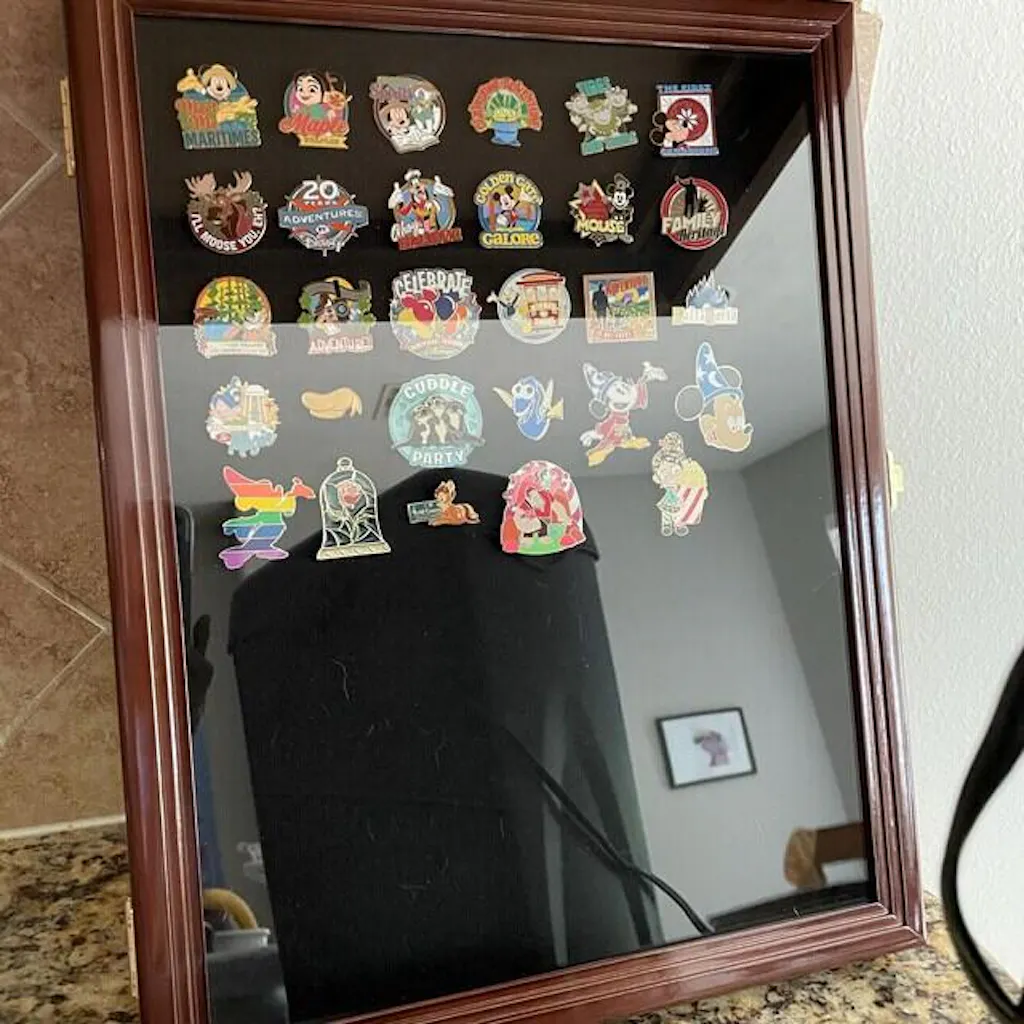 Pins, Ribbons, Medals, Buttons, Shells Showcase Display Case Cabinet