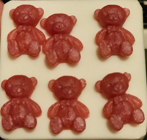 TEDDY BEAR MOLD