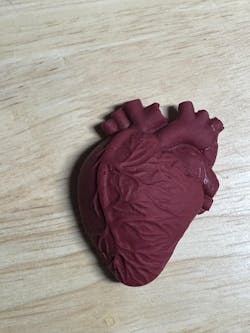 ANATOMICAL HEART SILICONE MOLD