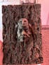 Owl Spirit of the Forest - Tree Bark Owl Sculpture | Spiritual Woodland Art