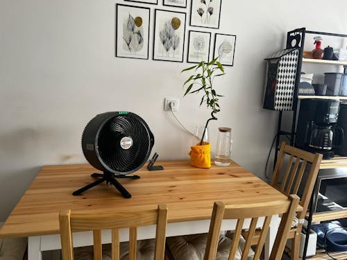 Shark FlexBreeze ProMist Taşınabilir Buharlı Fan – İç ve Dış Mekan Uyumlu, Siyah