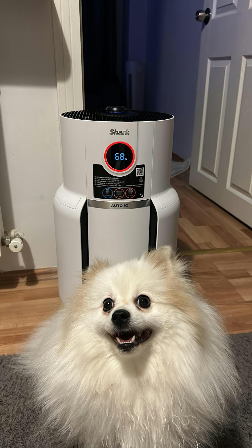 Shark NeverChange5 MAX Clean Sense IQ Hava Temizleyicisi