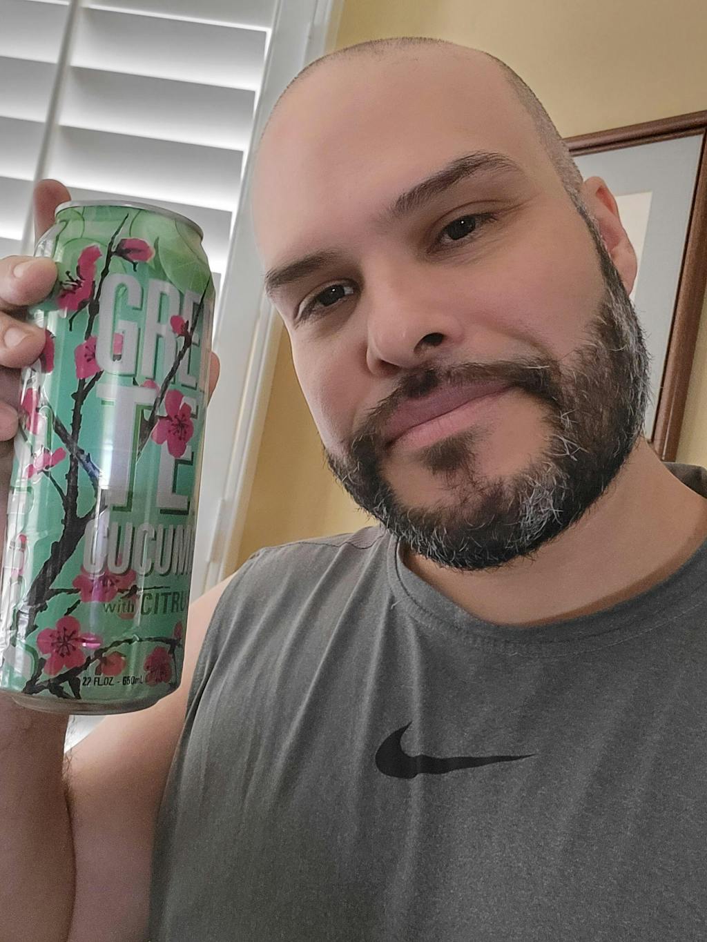 AriZona Green Tea Cucumber with Citrus 23oz BIG CAN Shop AriZona