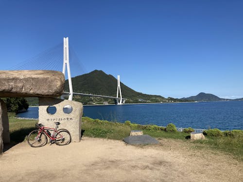 【オンラインストア限定モデル】SH-GE500