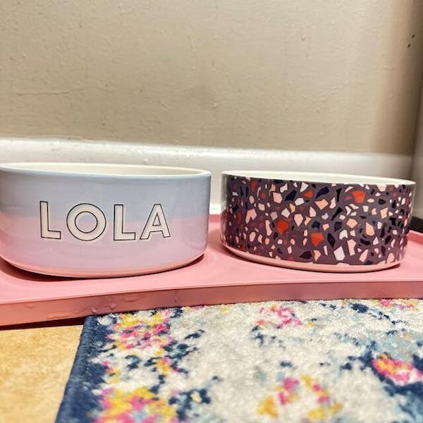 🐶💝MAJOR RESTOCK! Designer Pet Bowls & Placemats🎁 - Coco & Pud