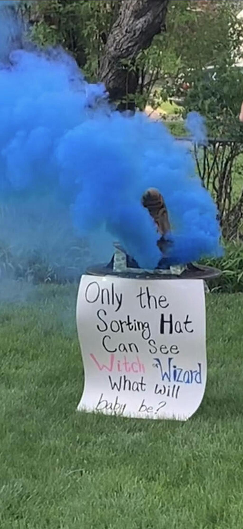 Best Gender Reveal Smoke Bombs Smoke Bombs for Gender Reveals