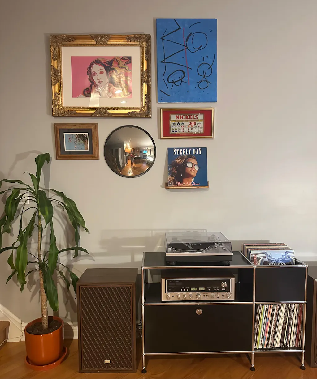 Floating Walnut Vinyl Record Display Shelf