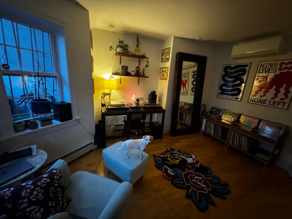 Walnut "Double Sidekick" Vinyl Record Storage Cabinet