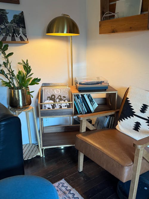Floating Walnut Vinyl Record Display Shelf