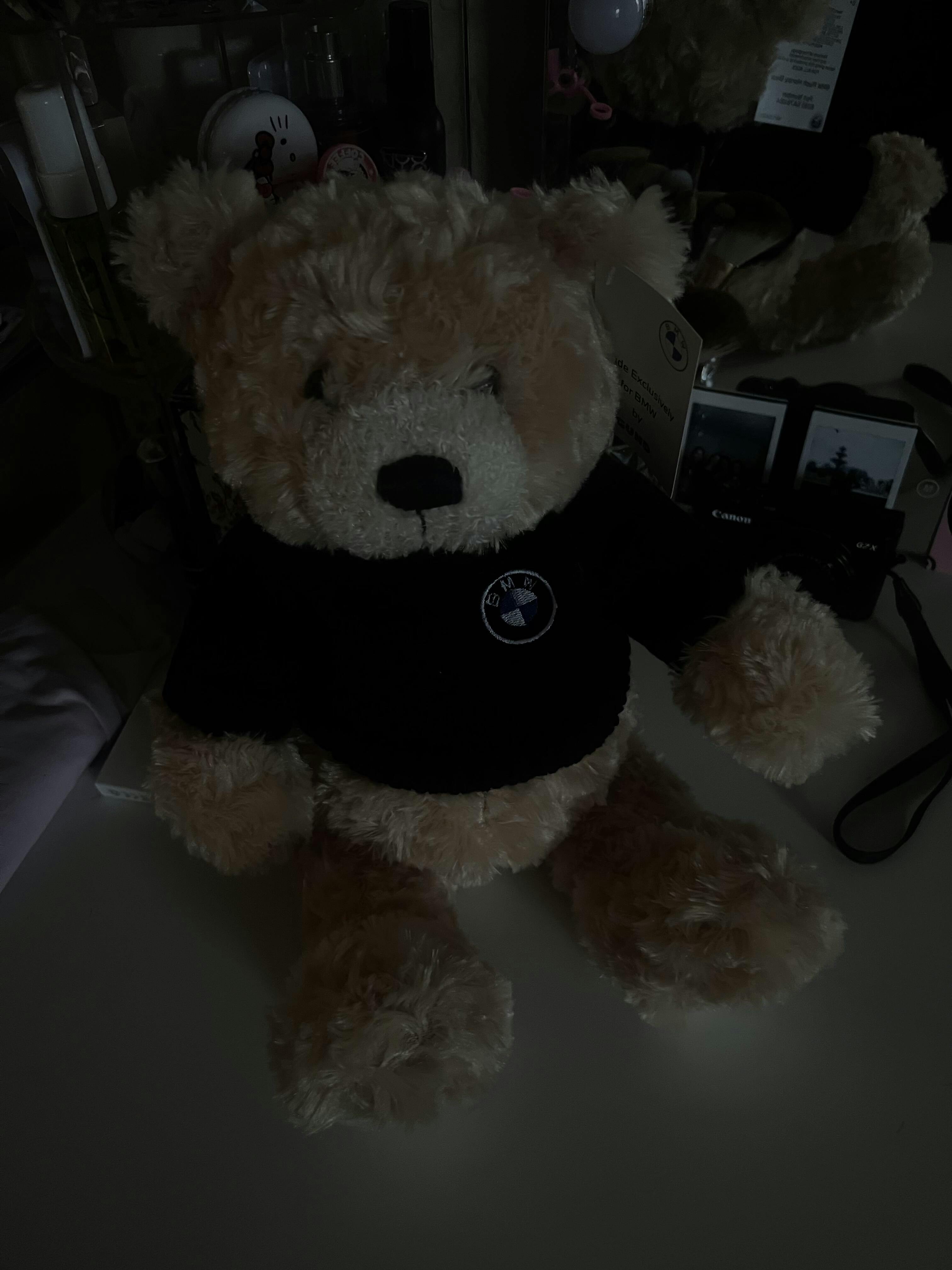 BMW Honey Bear Plush Toy by Gund – Sierra BMW Motorcycle