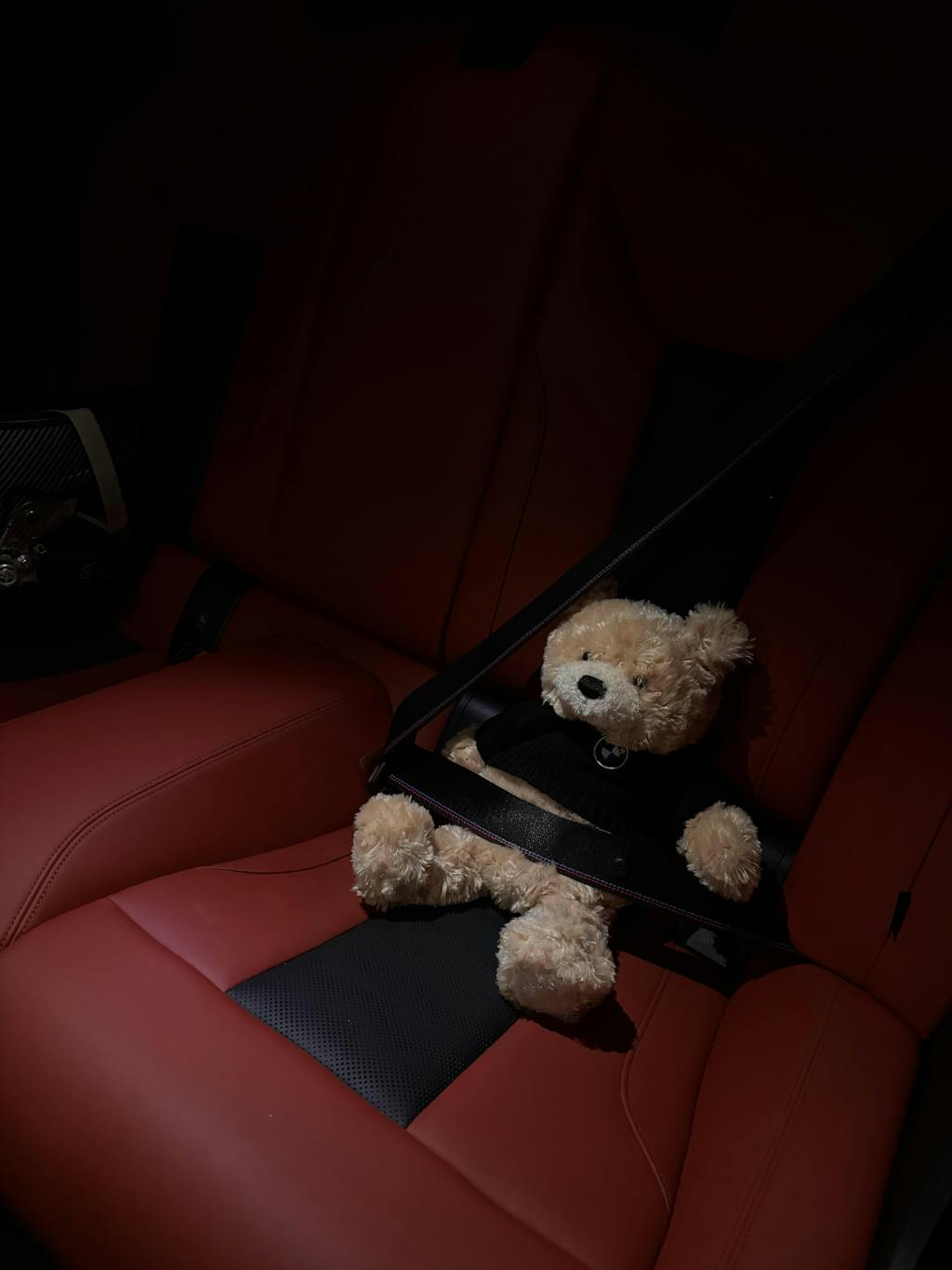 BMW Honey Bear Plush Toy by Gund – Sierra BMW Motorcycle