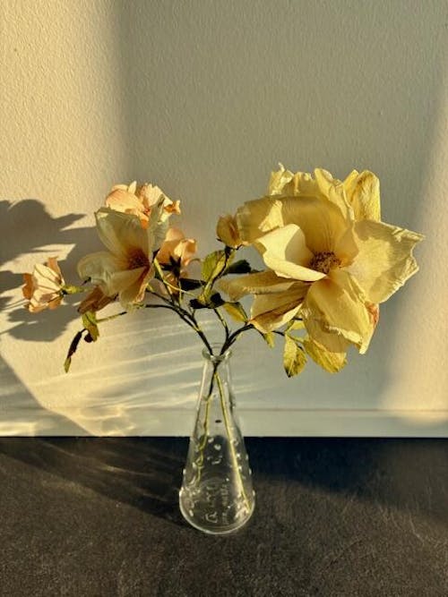 Vilde roser opskrift - begynder