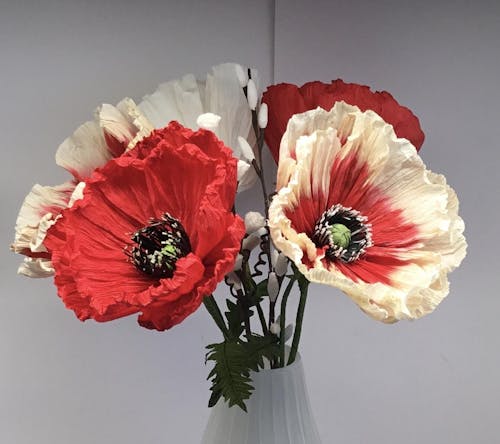 Valmue opskrift - begynder