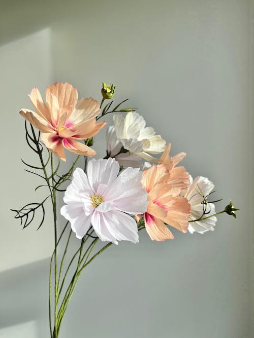 Kosmos opskrift - begynder